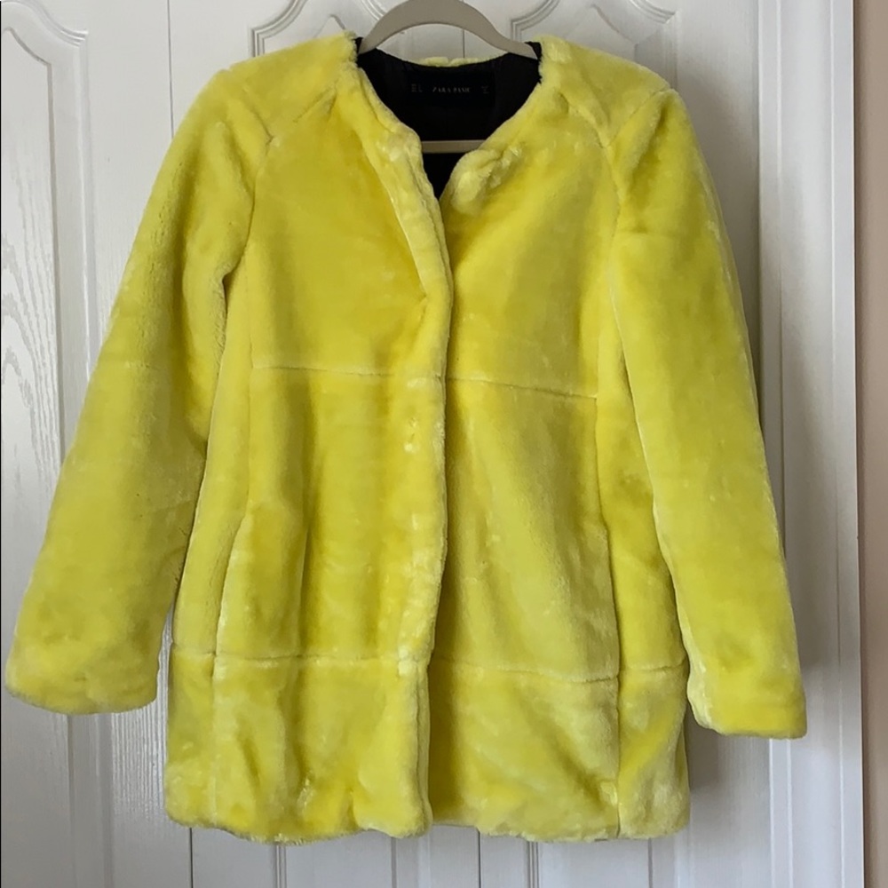 Zara Faux Fur Coat - Picture 2 of 6